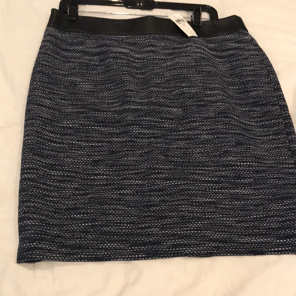 Ann Taylor skirt